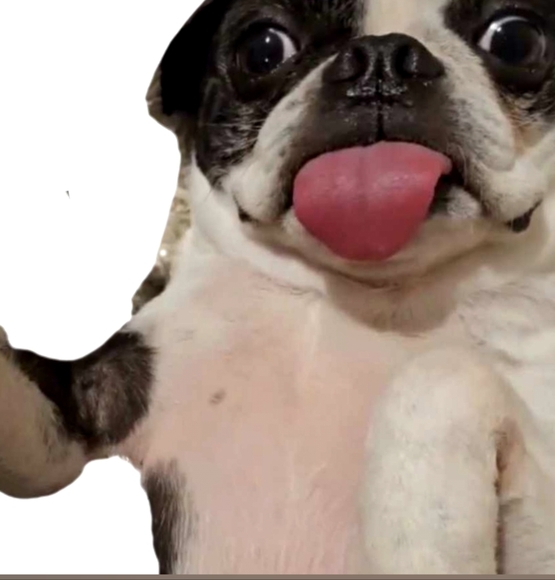 Hello Everyone 🥰💎❤️💖⚘️💍🥂 - Picture 7 of 17